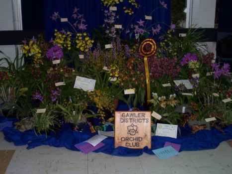 Gawler District Orchid Club Display
