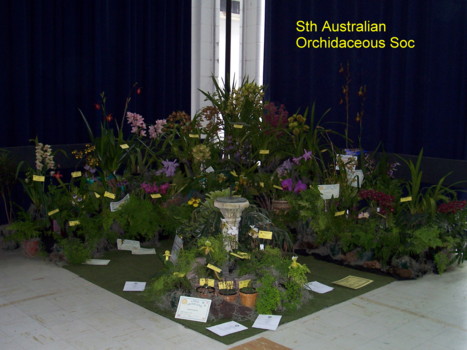 S.A. Orchidaceous Display