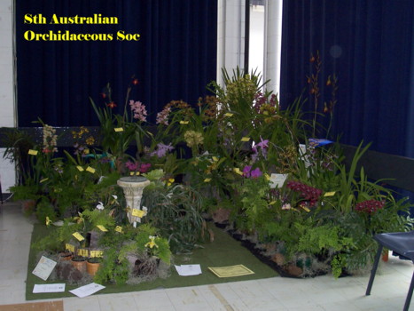 S.A. Orchidaceous Display