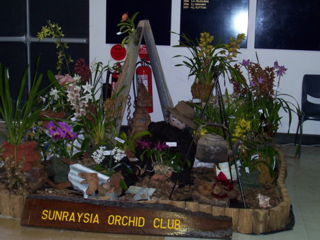 Sunraysia Orchid Club Display