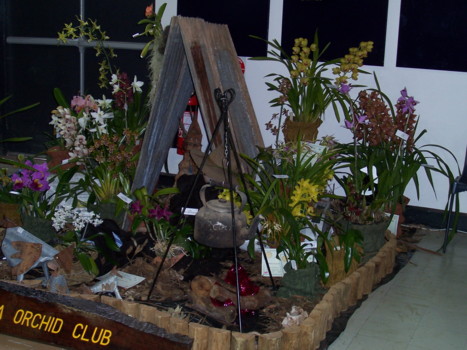 Sunraysia Orchid Club Display