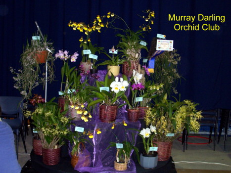 Murray Darling Display