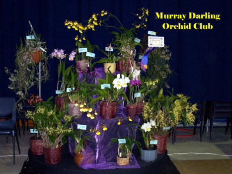 Murray Darling Display