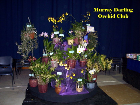 Murray Darling Display