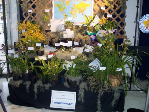 South Coast Species Club