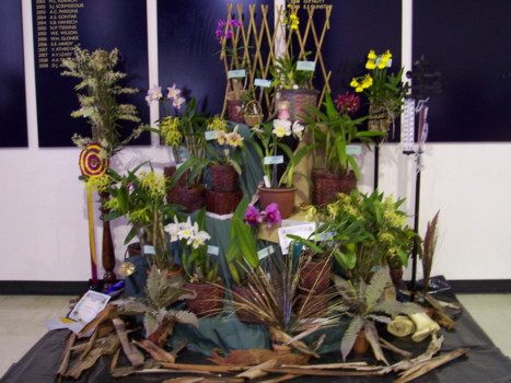 Murray Darling Display