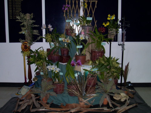 Murray Darling Display