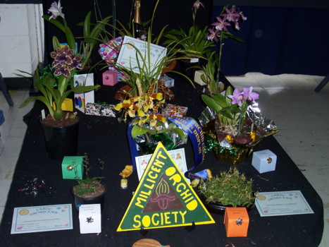 Millicent Orchid Society Display
