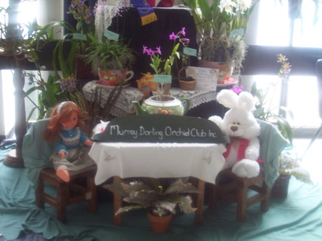 2009 club display