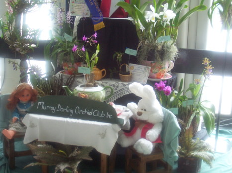 2009 club display