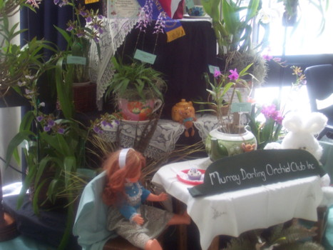 2009 club display