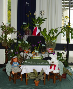 2009 club display