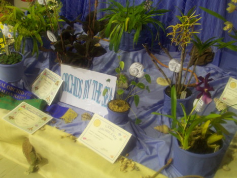 club display