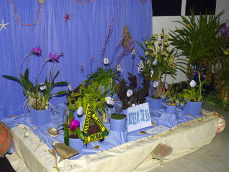 club display