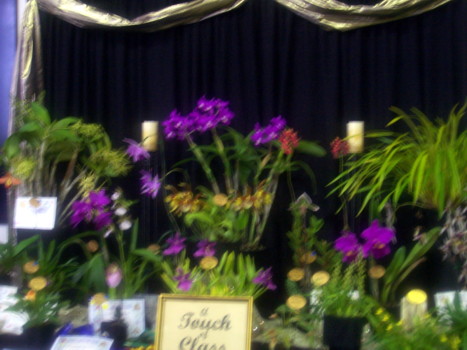 2009 club display