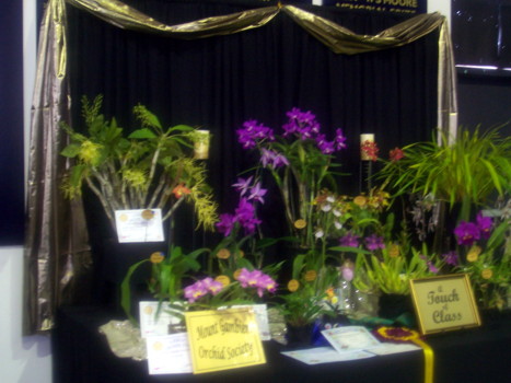 2009 club display