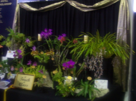 2009 club display