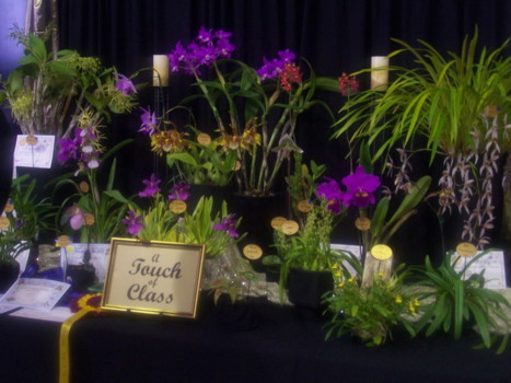 2009 club display
