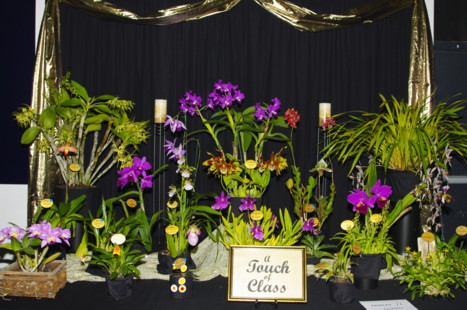 2009 club display