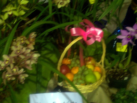 Port Augusta Orchid Club Display