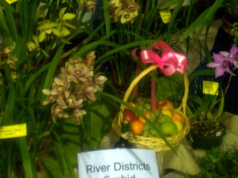 River Districts Orchid Club Display