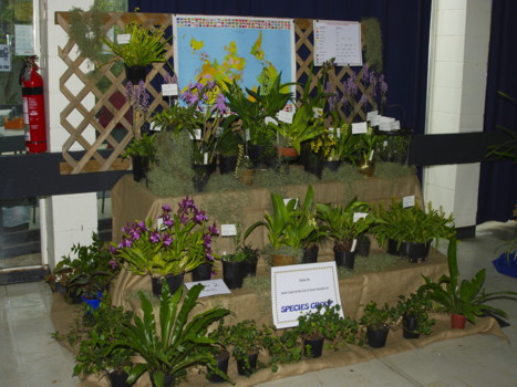 South Coast Species Club