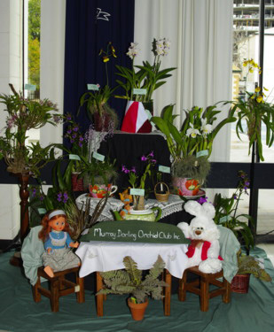 2009 club display