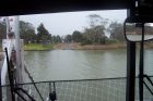 Swan Reach Ferry over the river Murray