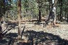 One of the many walking trails at the Wilpena Resort