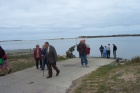 Hindmarsh Island Landing