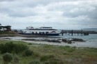 Ferry The Sea Lion