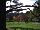 View from Heysen's Studio