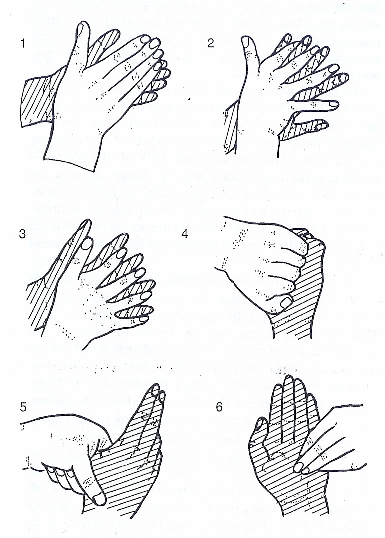diagrams of the hand-washing procedure