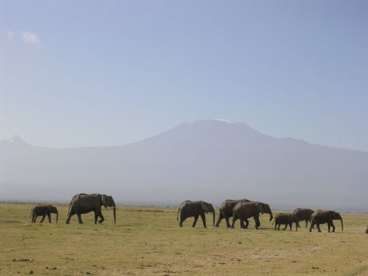 Driving to Tsavo