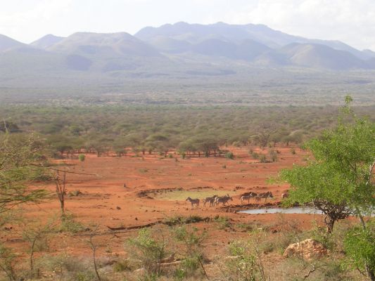 Tsavo-131.html