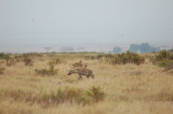 20070922-067.html