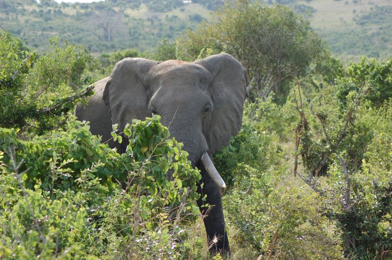 2006-09-16-133.html