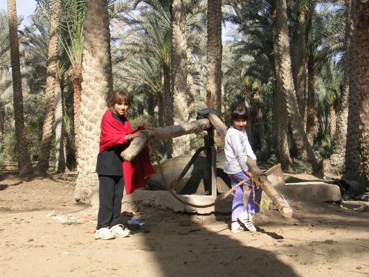 Egypt-163.html
