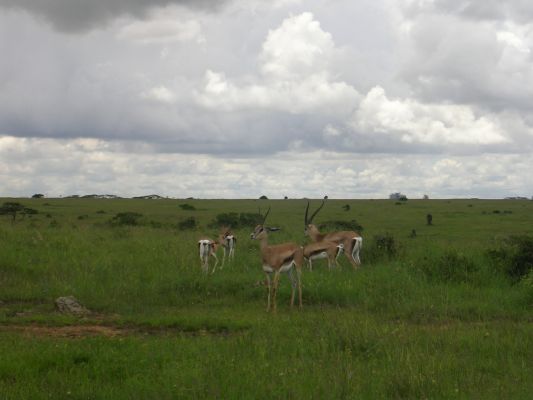 DSCN2792.html