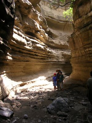 DSCN2869.html