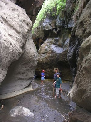 DSCN2874.html