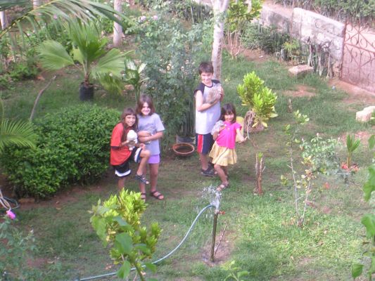 Lamu-010.html