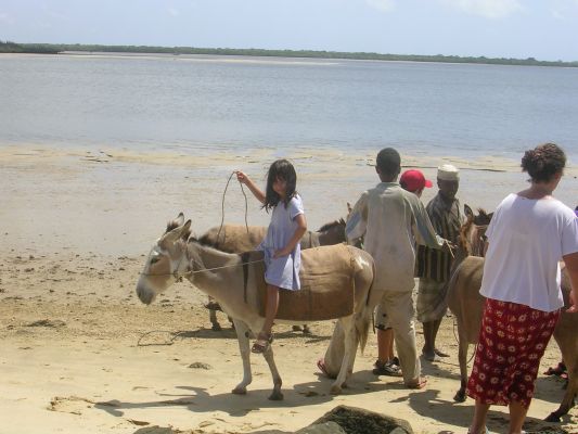 Lamu-013.html