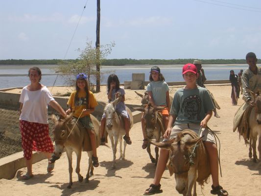 Lamu-023.html