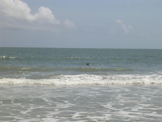 Lamu-083.html