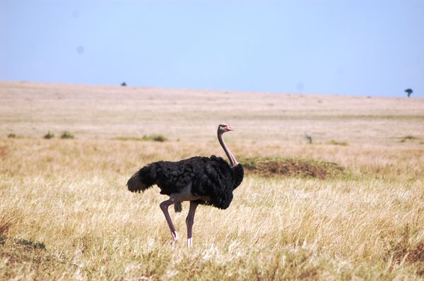 20070825-063.html