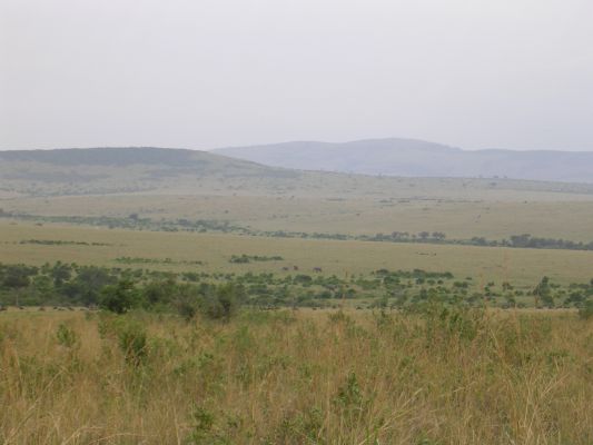 maasi-mara-040.html