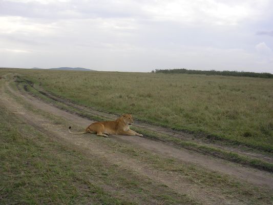 maasi-mara-067.html