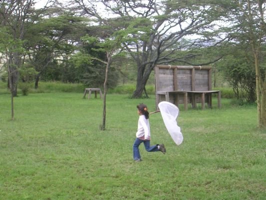 maasi-mara-318.html