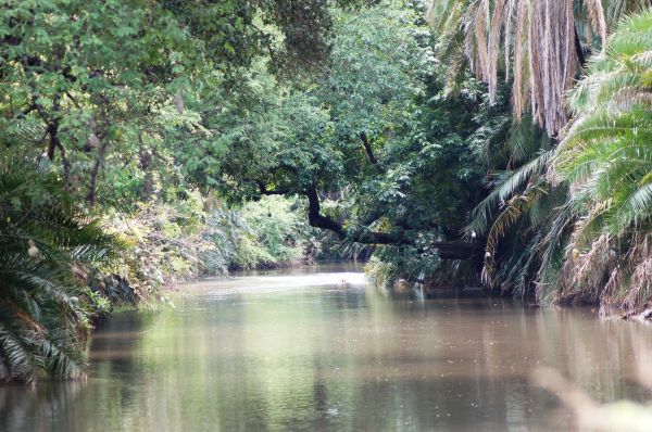 Rojewero River
